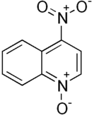 Structural formula of  4-nitroquinoline 1-oxide
