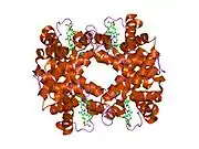 1hba: HIGH-RESOLUTION X-RAY STUDY OF DEOXYHEMOGLOBIN ROTHSCHILD 37BETA TRP-> ARG: A MUTATION THAT CREATES AN INTERSUBUNIT CHLORIDE-BINDING SITE