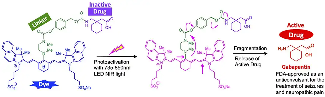 Diagram showing an example of a photocage release system