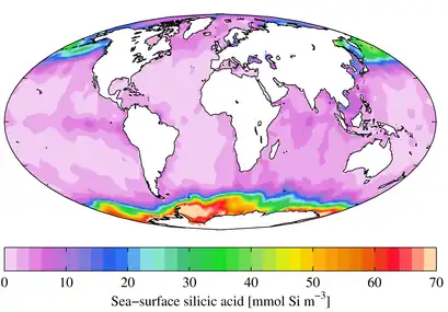 Concentration of silicic acid in the upper pelagic zone, showing high levels in the Southern Ocean