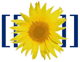 MediaWiki