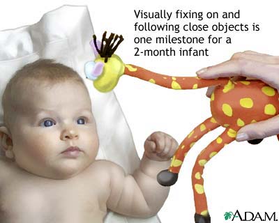 Developmental milestones Developmental milestones