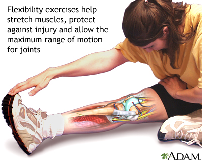 Flexibility exercise Flexibility exercise