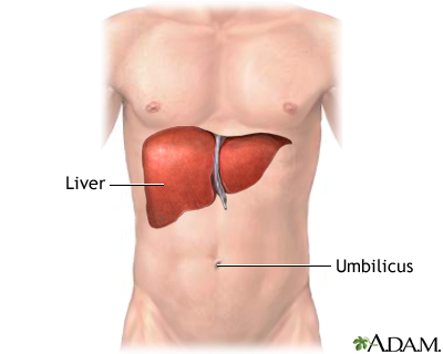 Liver Liver