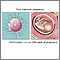 First trimester of pregnancy First trimester of pregnancy