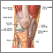 The structure of a joint The structure of a joint