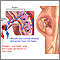 Placenta Placenta
