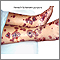 Henoch-Schonlein purpura Henoch-Schonlein purpura