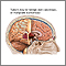 Brain tumor Brain tumor