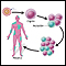 Mosaicism Mosaicism