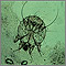 Scabies mite - photomicrograph Scabies mite - photomicrograph