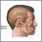 Mastoidectomy - series - Normal anatomy