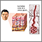 Epithelial cells Epithelial cells