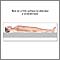 Treatment for strained back Treatment for strained back