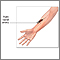 Blood gases test Blood gases test