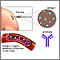 Hepatitis A immunization (vaccine) Hepatitis A immunization (vaccine)