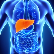 Alpha-1 Antitrypsin Deficiency