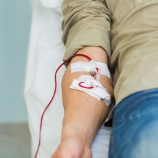 Aplastic Anemia
