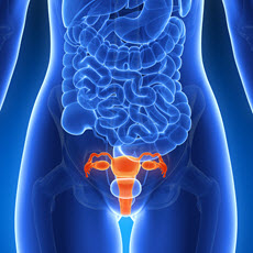 Cervix Disorders