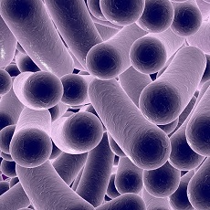 C. diff Infections