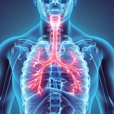 Granulomatosis with Polyangiitis