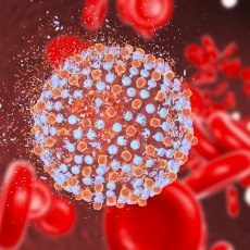 Hepatitis C