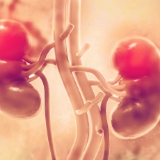 Kidney Cancer