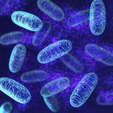 Mitochondrial Diseases