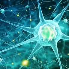 Neurologic Diseases