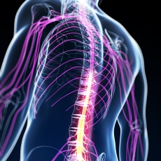 Neuromuscular Disorders