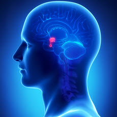 Pituitary Tumors