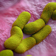 Plague