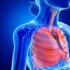 Pleural Disorders