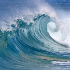 Tsunamis