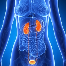 Ureteral Disorders