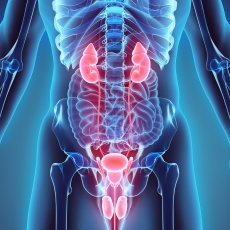 Urethral Disorders