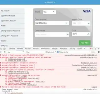 scam Visa form