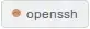 bronze openssh