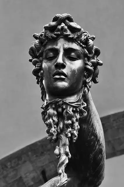 Cellini's Medusa