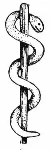 snake on a stick