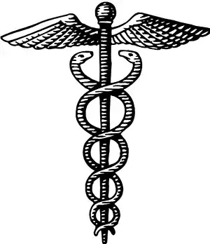 The Caduceus