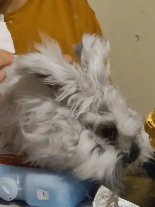 Luna as a baby