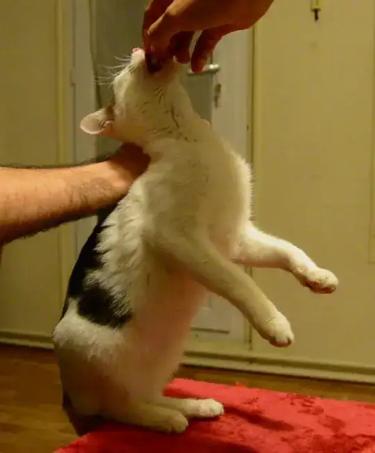 Release the pill and keep the muzzle up.