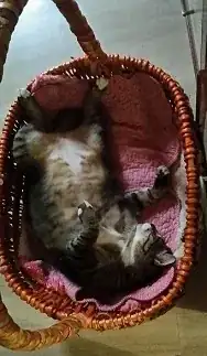 Fat Mummy_02