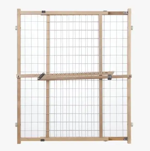 Dog gate