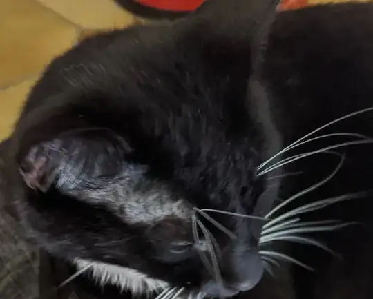 how it may looks like on a black cat from an angle where the effect is very pronounced