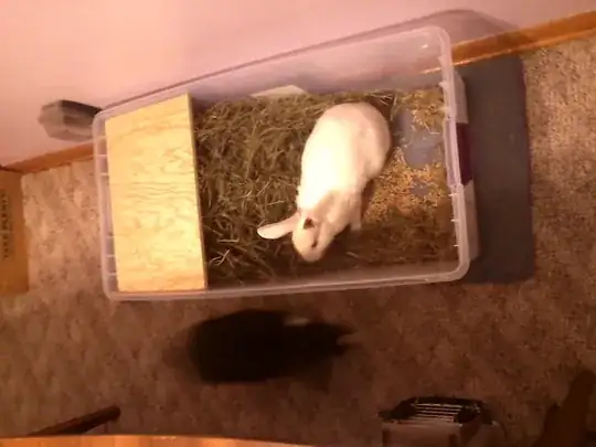 Lyra in the new box
