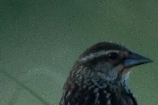 Finch