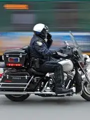 Bus Patrol