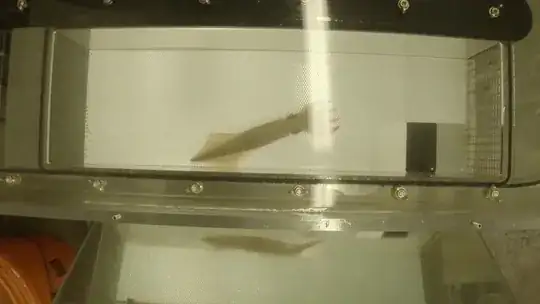 squid